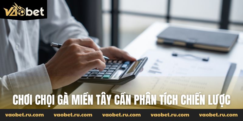 Chơi chọi gà miền Tây cần phân tích chiến lược