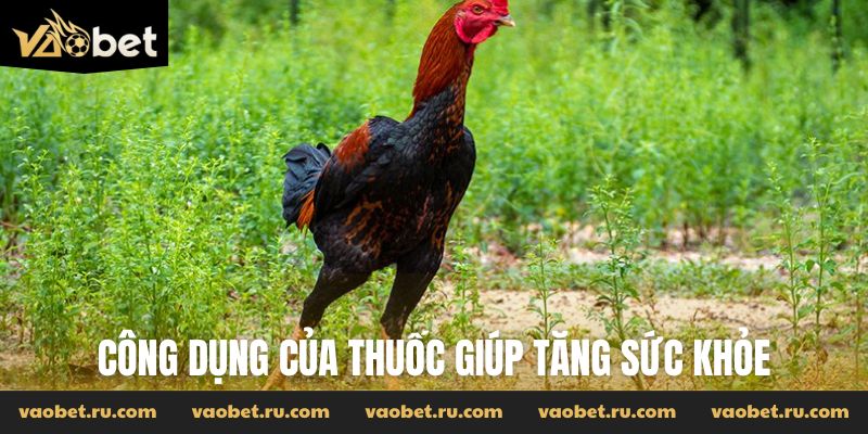 Công dụng của thuốc giúp tăng sức khỏe