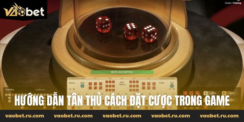 Hướng dẫn tân thủ cách đặt cược trong game
