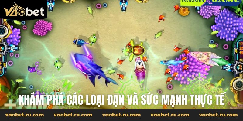 Khám phá các loại đạn và sức mạnh thực tế