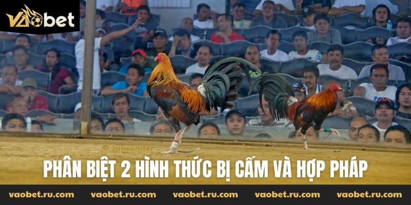 Phân biệt 2 hình thức bị cấm và hợp pháp