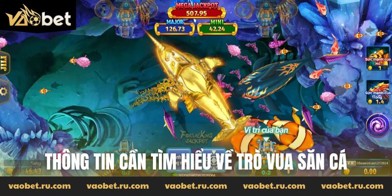 Thông tin cần tìm hiểu về trò Vua Săn Cá