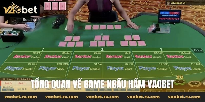 Tổng quan về game Ngầu Hầm Vaobet