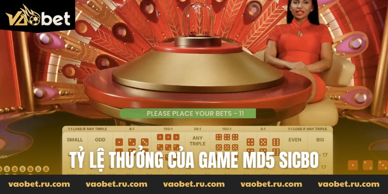 Tỷ lệ thưởng của game MD5 Sicbo