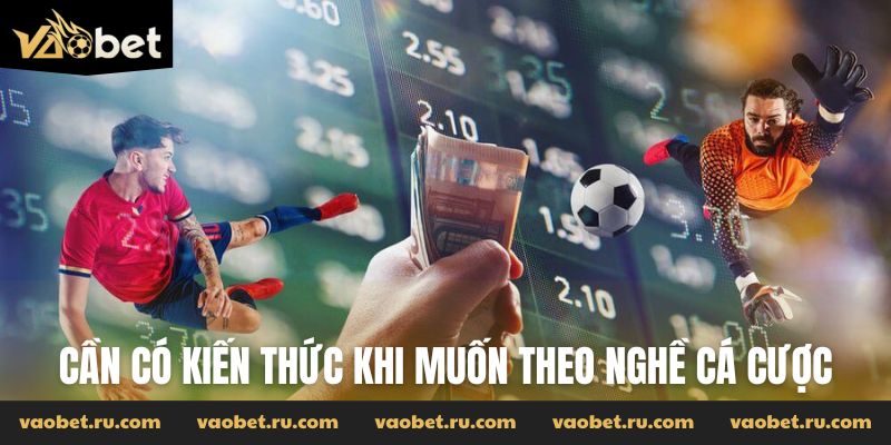 Cần có kiến thức khi muốn theo nghề cá cược