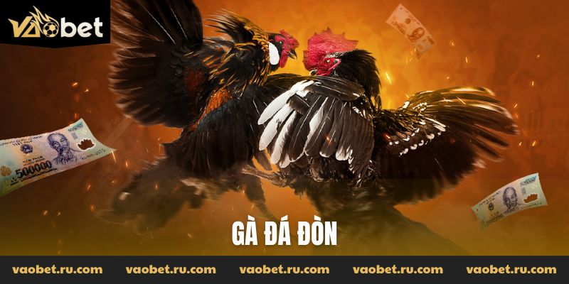 Gà đá đòn