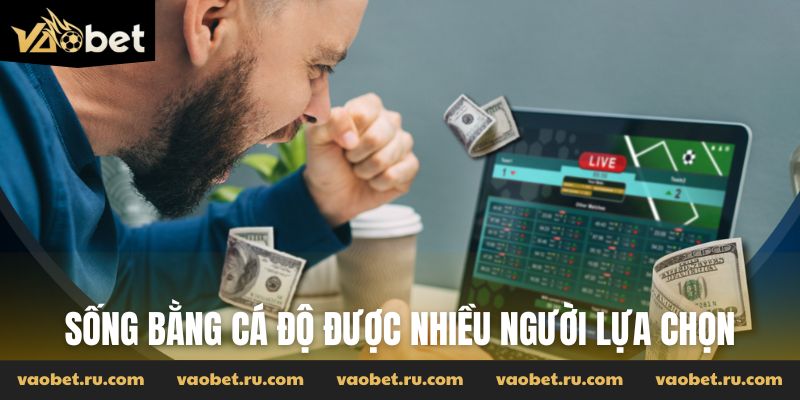 Sống bằng cá độ được nhiều người lựa chọn