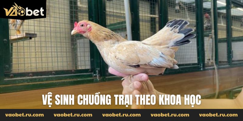 Vệ sinh chuồng trại theo khoa học