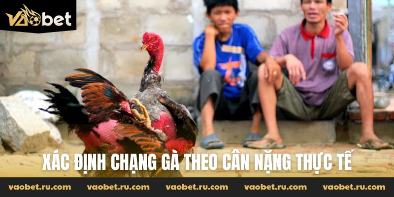 Xác định chạng gà theo cân nặng thực tế